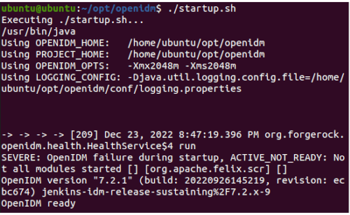 Successful openidm installation