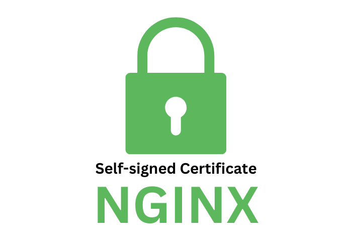 Self-signed certificate setup on Nginx