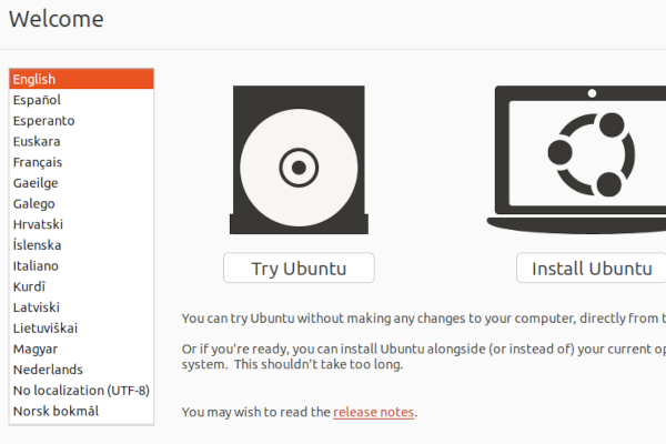 Ubuntu start options