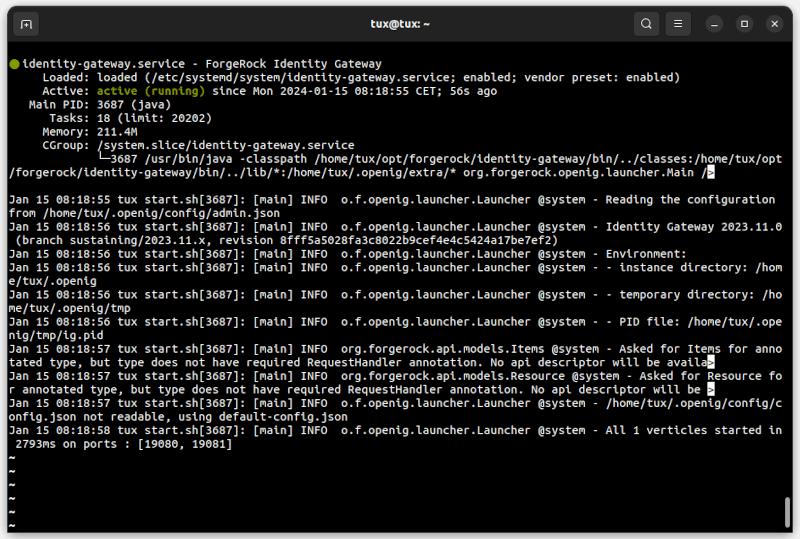 Getting started with ForgeRock Identity Gateway - 01-01