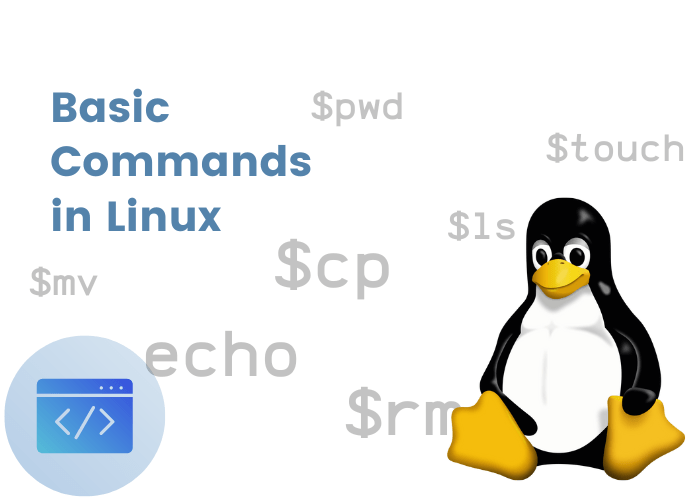 Basic Commands in Linux