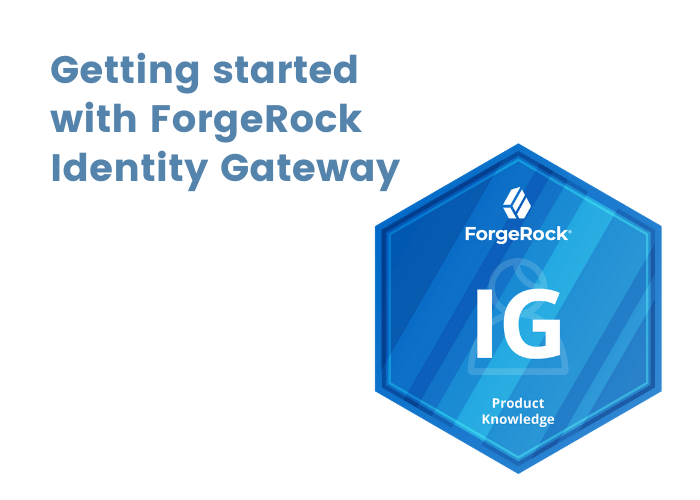 Getting started with ForgeRock Identity Gateway