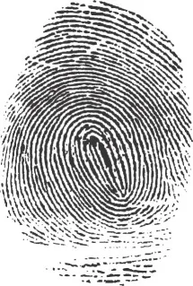 Fingerprint as a biometrics authentication