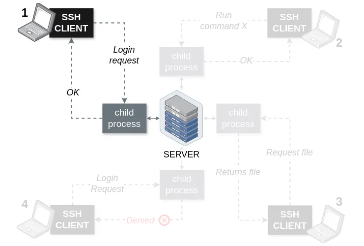 Harry connects with the SSH server