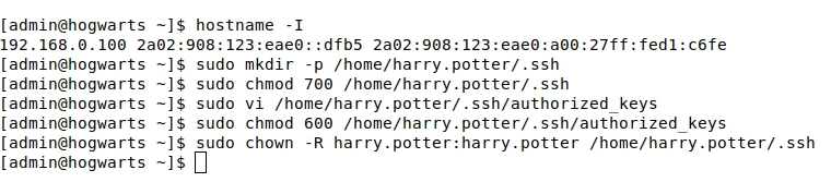 Sysadmin adds Harry's public key to the server