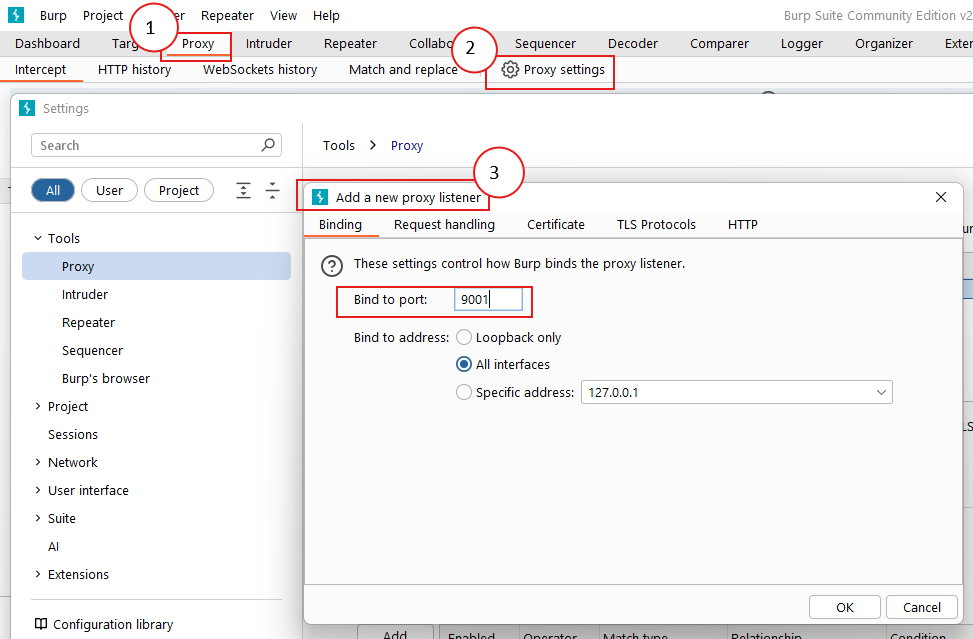 Burp Suite - Proxy settings
